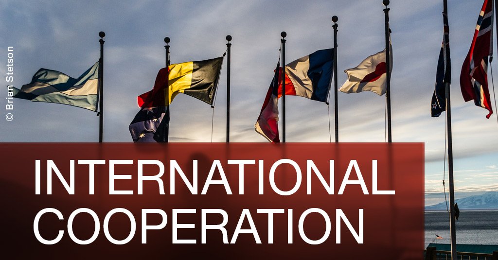 International and Comparative Cooperation